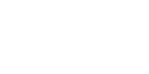 Logo-ParallelSystems